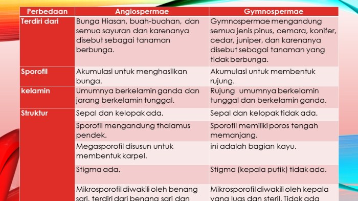 perbedaan dan persamaan terbaru