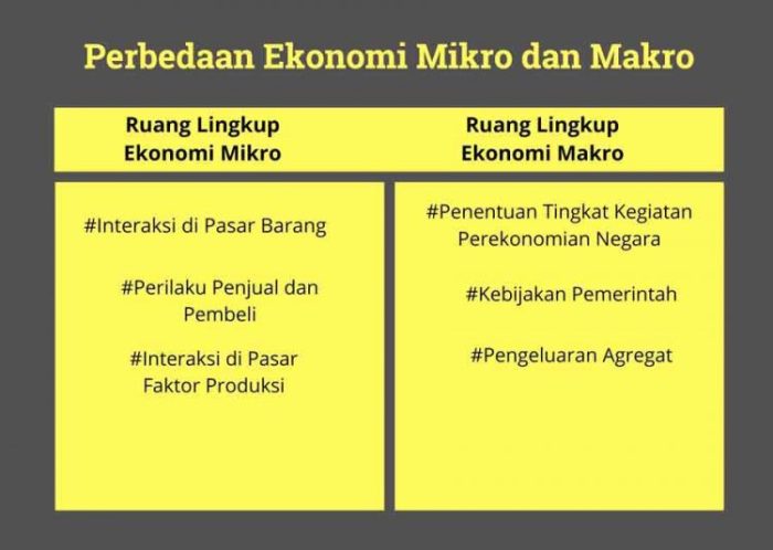 apa perbedaan ekonomi mikro dan ekonomi makro terbaru