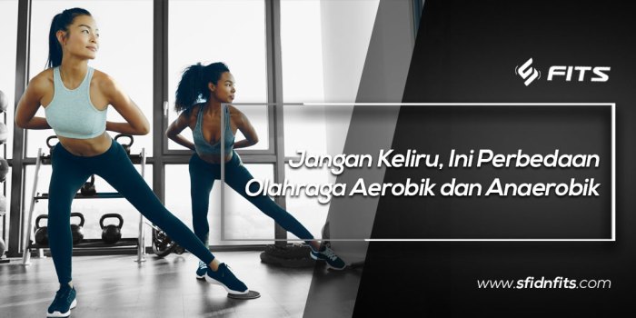 perbedaan aerobik dan anaerobik terbaru