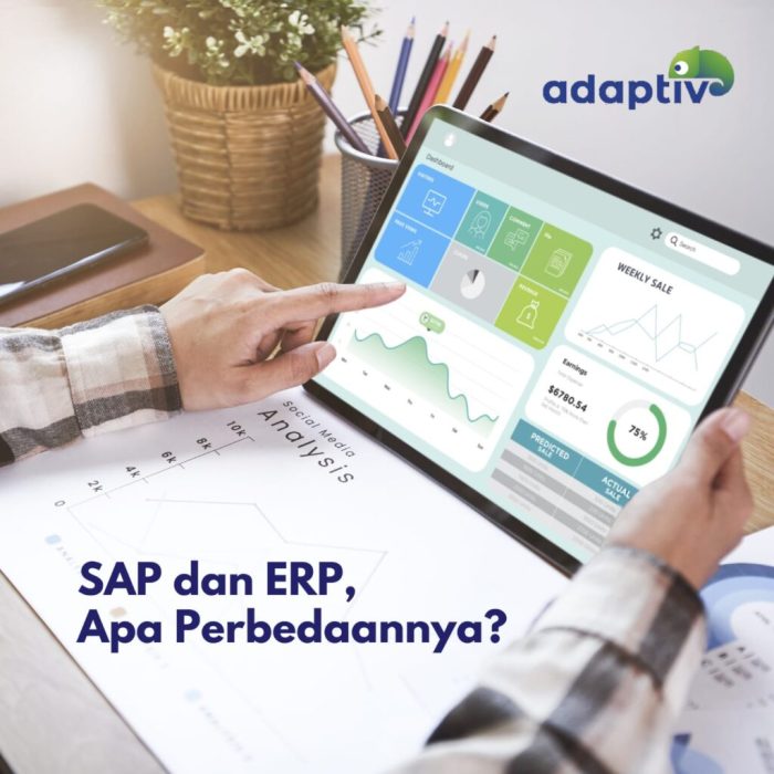 perbedaan erp dan sap